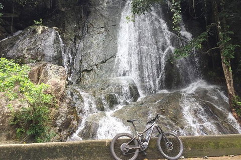 Electric Mountain Bike Tropical Tours - Accommodation Adelaide 5