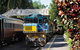 Kuranda Day Tour, TKS- Budget 830 - thumb 2
