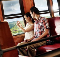 Kuranda Day Tour TKS- Budget 830 - Accommodation Adelaide