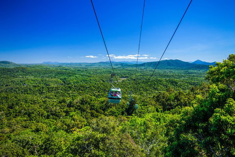 Kuranda Day Tour, TKS- Budget 830 - Accommodation Adelaide 5