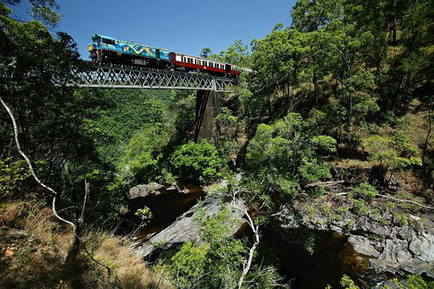 Kuranda Day Tour, TKS- Budget 830 - Accommodation Adelaide 4