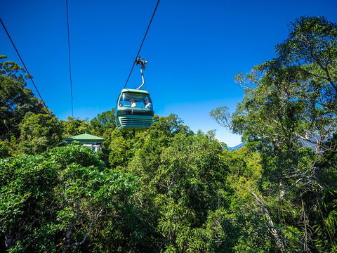 Kuranda Day Tour, TKS- Budget 830 - Accommodation Adelaide 3