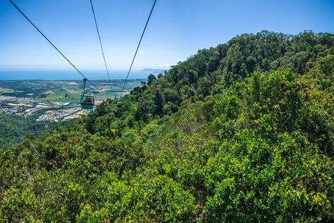 Kuranda Day Tour, TKS- Budget 830 - Accommodation Adelaide 1