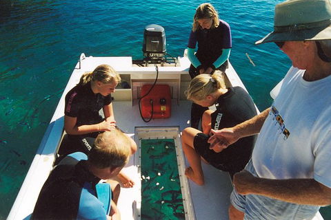 Great Barrier Reef Luxury Expedition Cruise Cabin Booking 7 Days 6 Night - Accommodation Adelaide 1