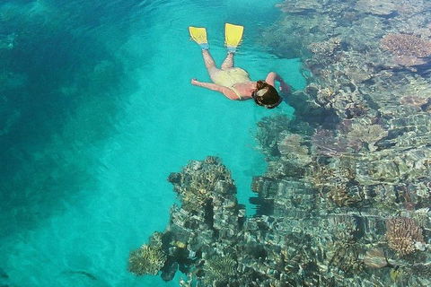 Great Barrier Reef Luxury Expedition Cruise Cabin Booking 7 Days 6 Night - Accommodation Adelaide 8