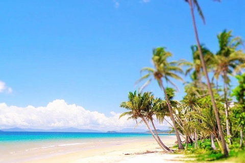 Airport Transfer - Cairns Airport To Mission Beach - Accommodation Adelaide 1