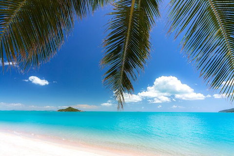 Reef, Wildlife & Rainforest - Reef & Beyond Guided Holidays - Accommodation Adelaide 4