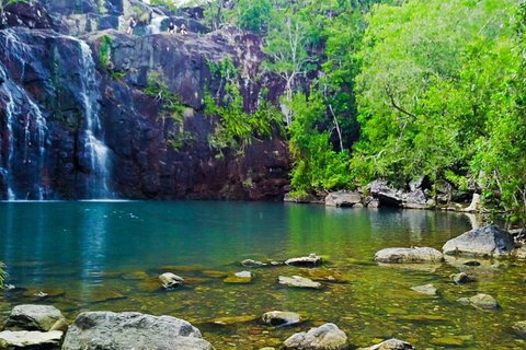 Reef, Wildlife & Rainforest - Reef & Beyond Guided Holidays - Accommodation Adelaide 0