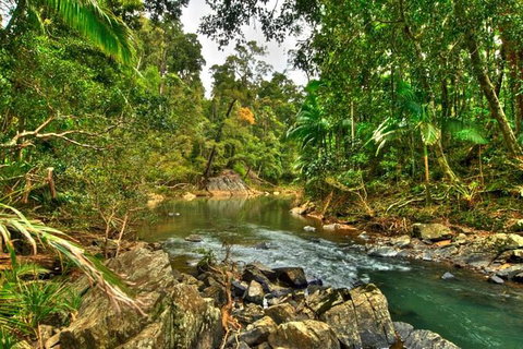 Reef, Wildlife & Rainforest - Reef & Beyond Guided Holidays - Accommodation Adelaide 3