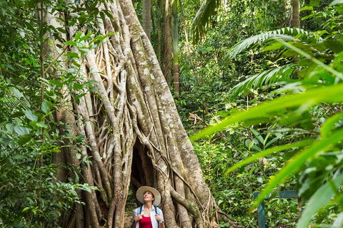 Reef, Wildlife & Rainforest - Reef & Beyond Guided Holidays - Accommodation Adelaide 2