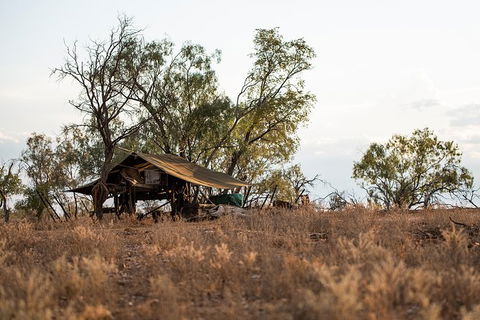 Nogo Station Experience - Accommodation Adelaide 5
