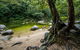 Daintree And Cape Tribulation Full Day Guided Tour - thumb 5