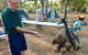 14-Day Cape York Camping Tour - thumb 6