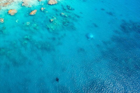 Premium Private Charter - Accommodation Adelaide 5