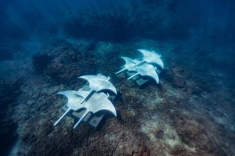 Premium Private Charter - Accommodation Adelaide 8