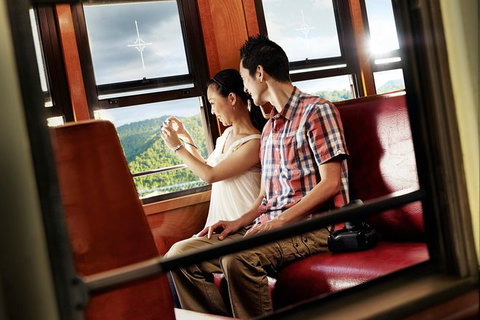 Kuranda Day Tour, TKS-RFS GRAND 0830 - Accommodation Adelaide 5