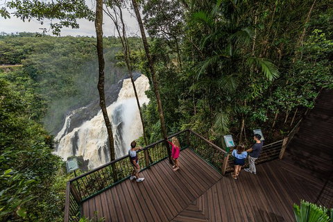Kuranda Day Tour, TKS-RFS GRAND 0830 - Accommodation Adelaide 8