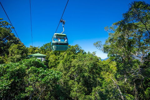 Kuranda Day Tour, TKS-RFS GRAND 0830 - Accommodation Adelaide 2