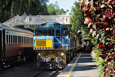 Kuranda Day Tour, TKS-RFS GRAND 0830 - Accommodation Adelaide 0