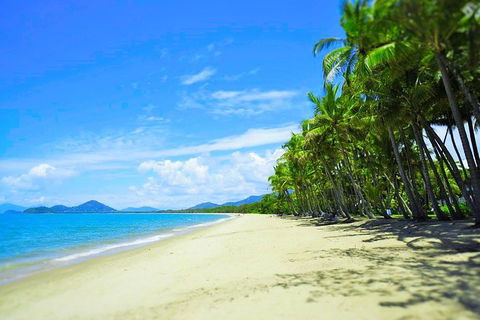 Airport Transfer - Palm Cove, Kewarra Beach & Trinity Beach To Cairns Airport - Accommodation Adelaide 2