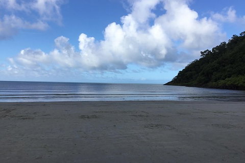 Daintree Luxury Limousine Tour - Full Day - Accommodation Adelaide 6