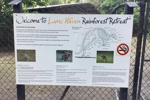 Daintree Luxury Limousine Tour - Full Day - Accommodation Adelaide 2