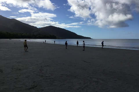 Daintree Luxury Limousine Tour - Full Day - Accommodation Adelaide 5