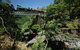 Kuranda Day Tour, TKS-RFS GRAND GOLD PLUS 0930 - thumb 4