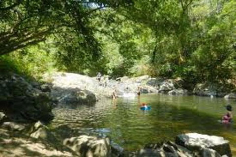 Waterfall And Wallabies Sighting Tour - Accommodation Adelaide 2