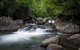 Waterfall And Wallabies Sighting Tour - thumb 0