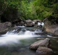 Waterfall and Wallabies Sighting Tour - Accommodation Adelaide