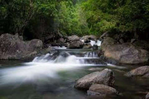 Waterfall And Wallabies Sighting Tour - Accommodation Adelaide 0
