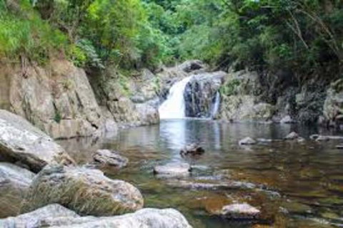 Waterfall And Wallabies Sighting Tour - Accommodation Adelaide 4