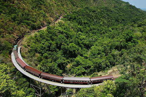 Kuranda Tour Deluxe Course With Kuranda 3 Zoos - Accommodation Adelaide 6