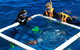 Cruise To Outer Reef - Cruise Return Plus 10 Minute Scenic Flight - thumb 6