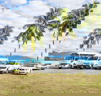 Private Transfers - Cairns Airport to Palm Cove - Accommodation Adelaide