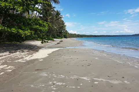 Private Transfers - Cairns Airport To Palm Cove - Accommodation Adelaide 1