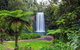 Cairns & Port Douglas All-Inclusive 7 Days Touring Package - thumb 5