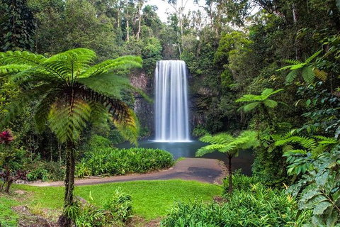 Cairns & Port Douglas All-Inclusive 7 Days Touring Package - Accommodation Adelaide 5