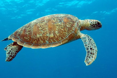 Cairns & Port Douglas All-Inclusive 7 Days Touring Package - Accommodation Adelaide 1