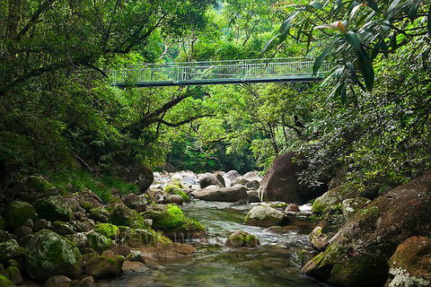 SHUTTLE - Mossman Gorge & Cooya Beach From Port Douglas (Return Transfer) - Accommodation Adelaide 4