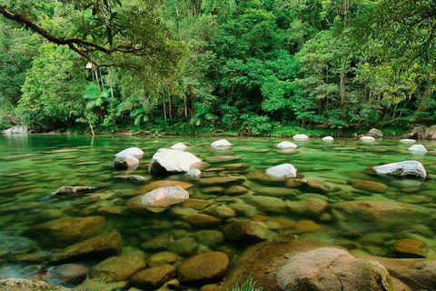 SHUTTLE - Mossman Gorge & Cooya Beach From Port Douglas (Return Transfer) - Accommodation Adelaide 3
