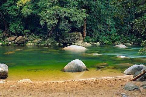 SHUTTLE - Mossman Gorge & Cooya Beach From Port Douglas (Return Transfer) - Accommodation Adelaide 1
