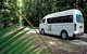 Rainforest & Nocturnal Wildlife Tour - thumb 1