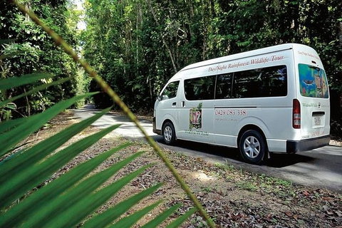 Rainforest & Nocturnal Wildlife Tour - Accommodation Adelaide 1