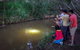 Rainforest & Nocturnal Wildlife Tour - thumb 0