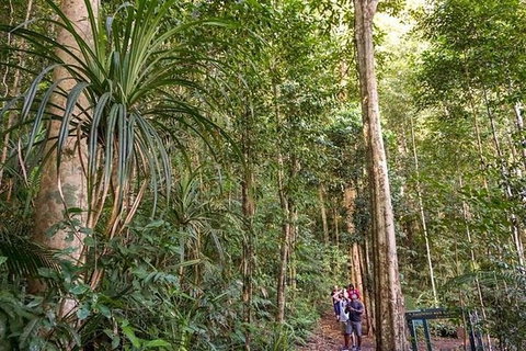 Rainforest & Nocturnal Wildlife Tour - Accommodation Adelaide 5
