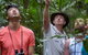 Rainforest & Nocturnal Wildlife Tour - thumb 2