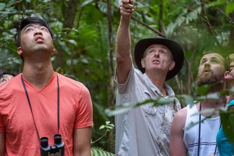 Rainforest & Nocturnal Wildlife Tour - Accommodation Adelaide 2