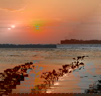 Private Full-Day Guided Tour with workshop Karragarra and Macleay Island - Accommodation Adelaide